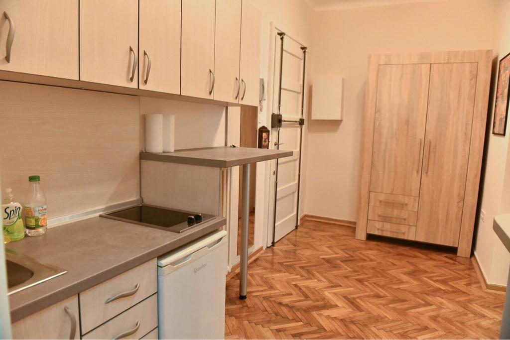 Bojan Central Apartment Novi Sad Luaran gambar